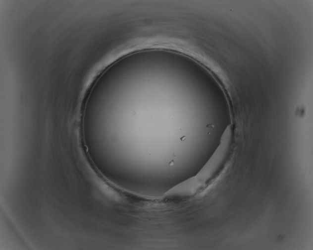X0000096651525200802051143