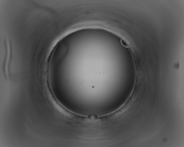 X0000096651526200802051143