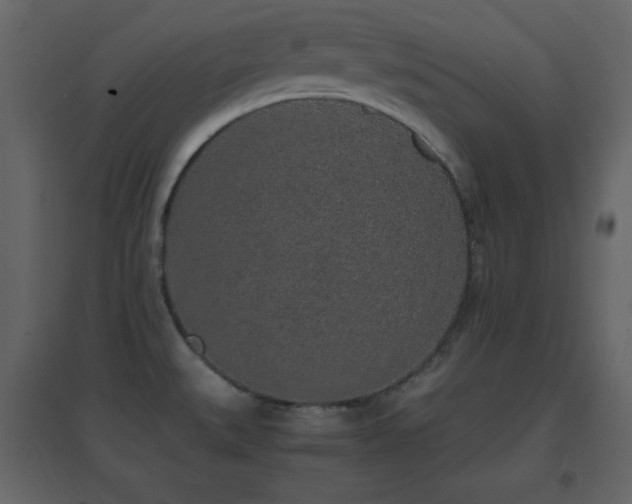 X0000096651527200802051143
