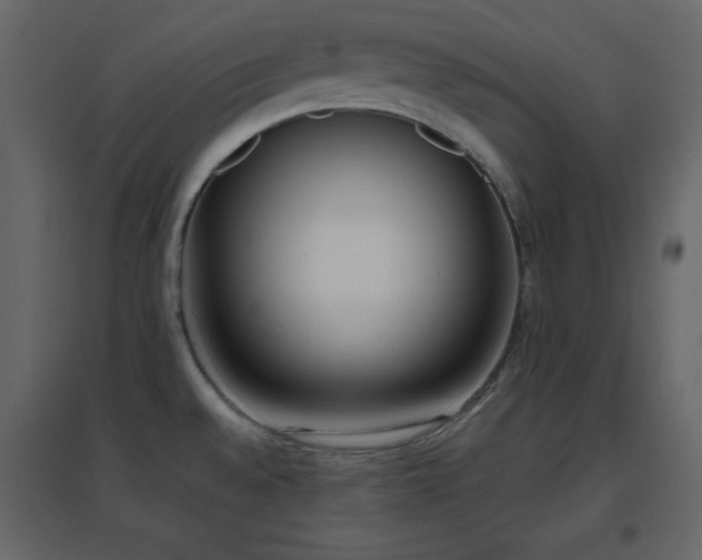 X0000096651528200802051143