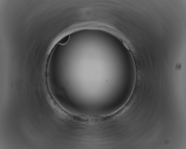 X0000096651530200802051143