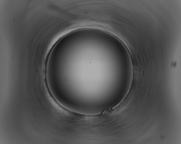 X0000096651531200802051143