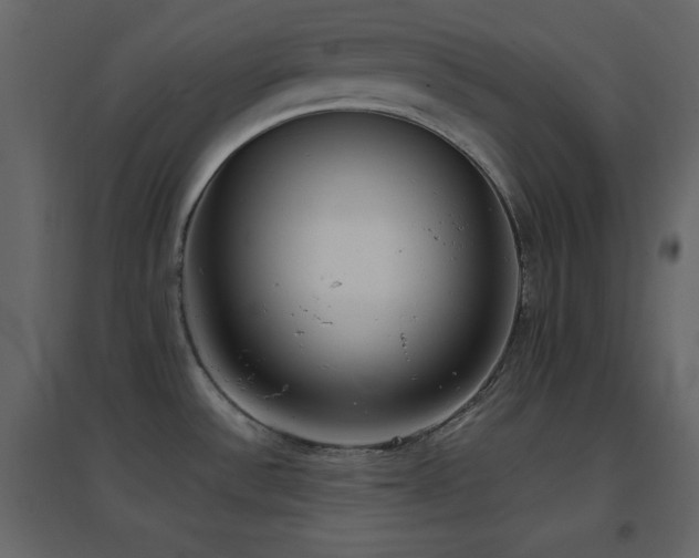 X0000096651532200802051143
