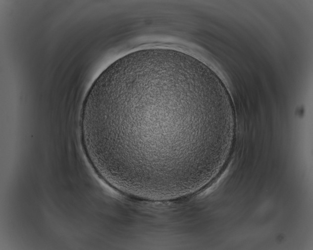 X0000096651533200802051143