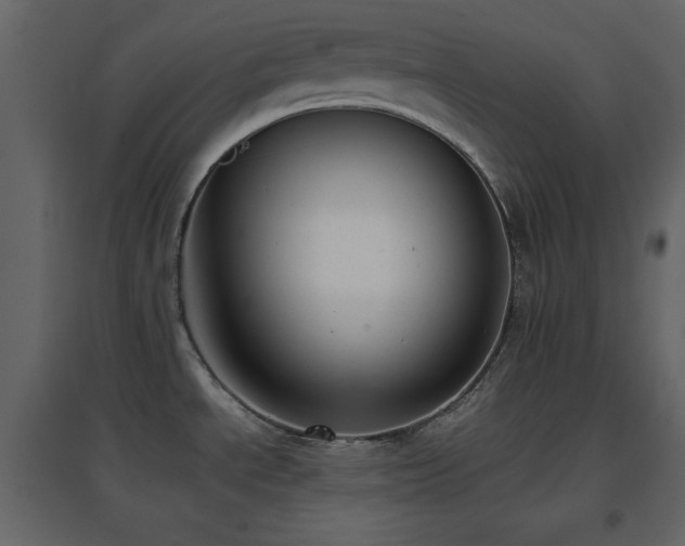 X0000096651534200802051143