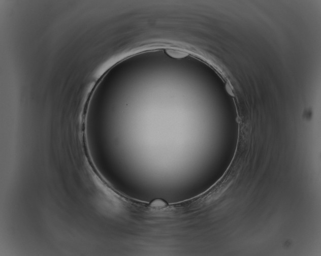 X0000096651535200802051143