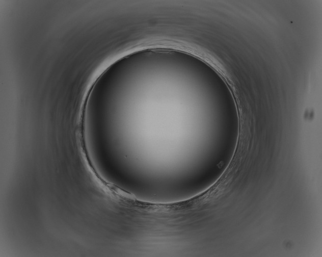 X0000096651536200802051143
