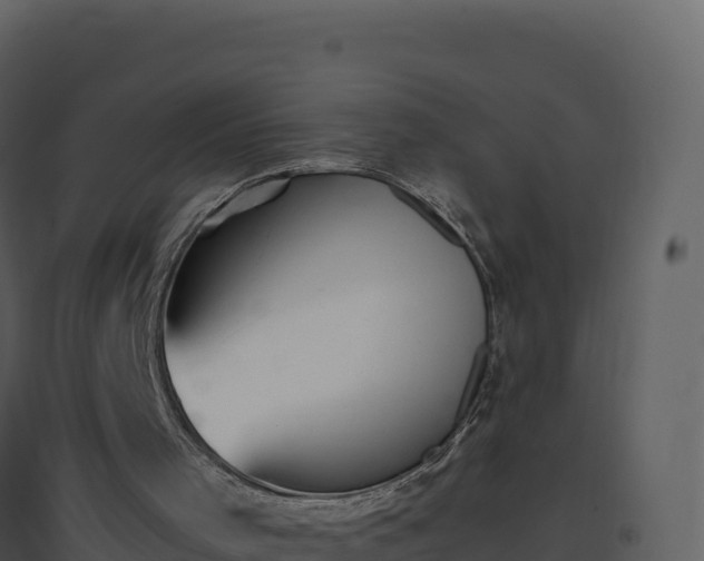 X0000096650001200802121143