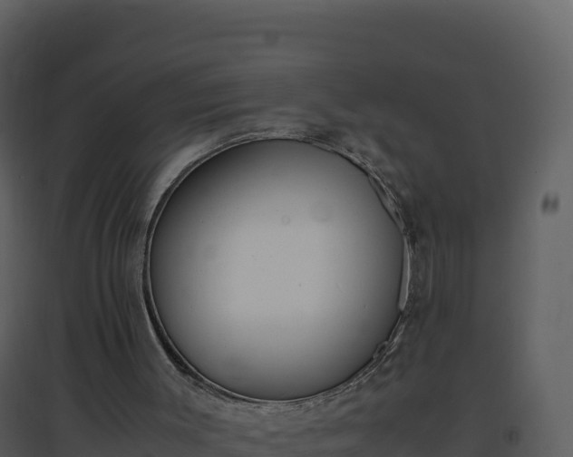 X0000096650003200802121143