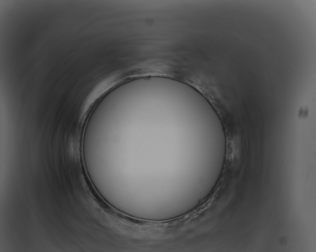 X0000096650004200802121143