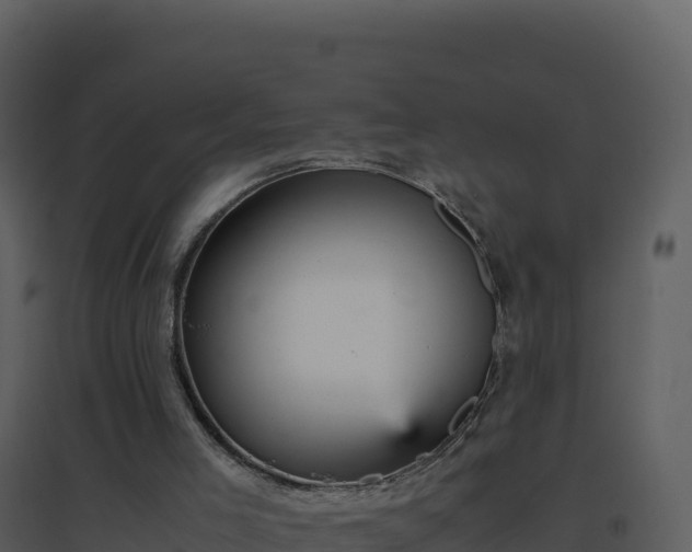 X0000096650005200802121143