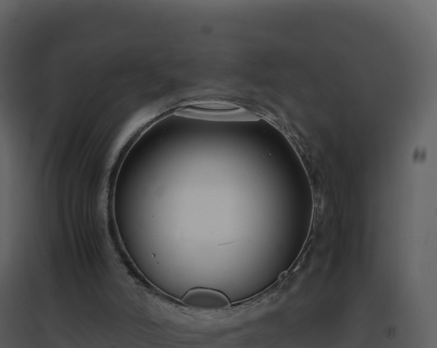 X0000096650006200802121143