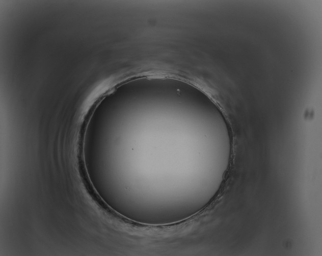 X0000096650007200802121143