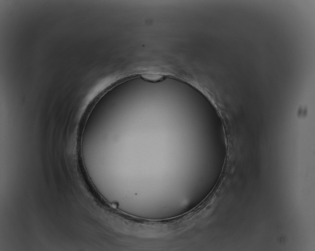 X0000096650008200802121143