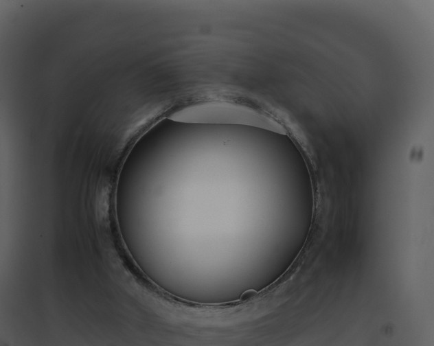 X0000096650010200802121143