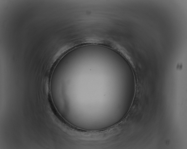 X0000096650011200802121143