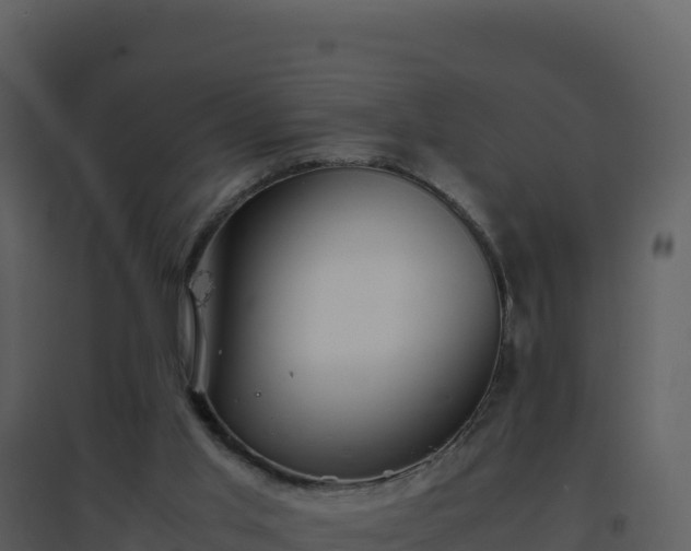 X0000096650013200802121143
