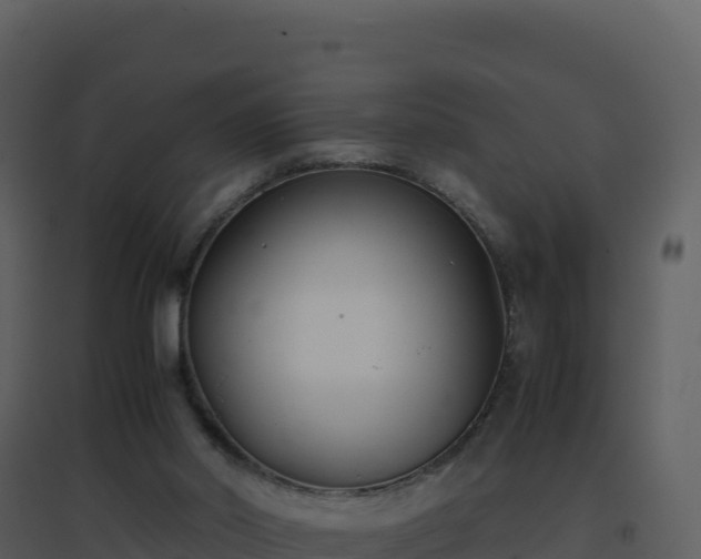 X0000096650014200802121143