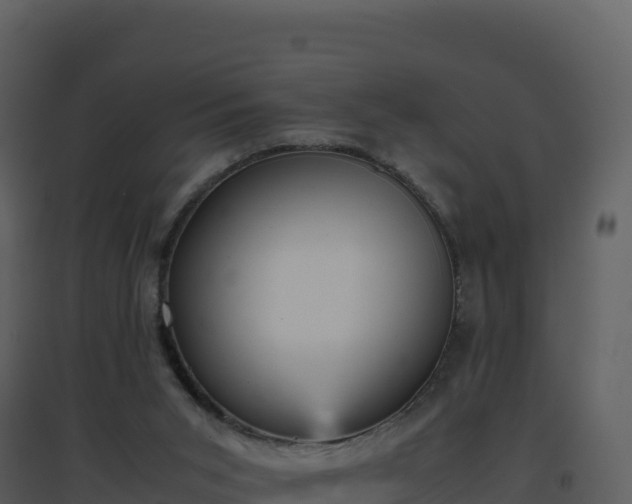 X0000096650015200802121143