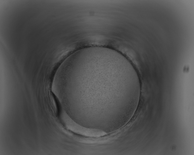 X0000096650017200802121143
