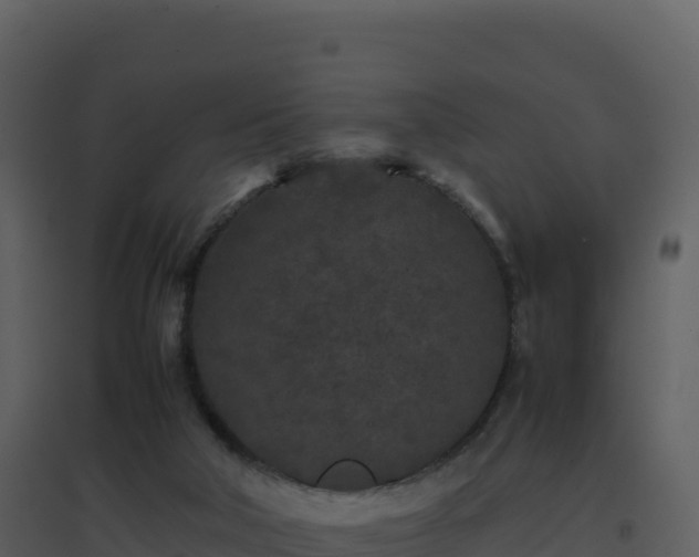 X0000096650018200802121143