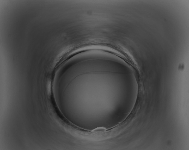 X0000096650019200802121143