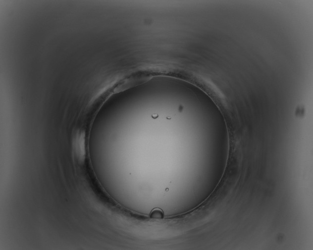 X0000096650020200802121143