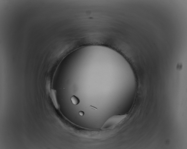 X0000096650021200802121143