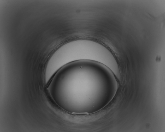 X0000096650022200802121143