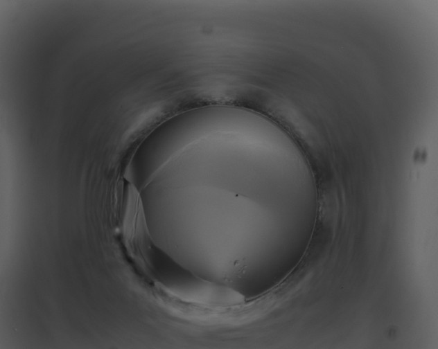 X0000096650023200802121143