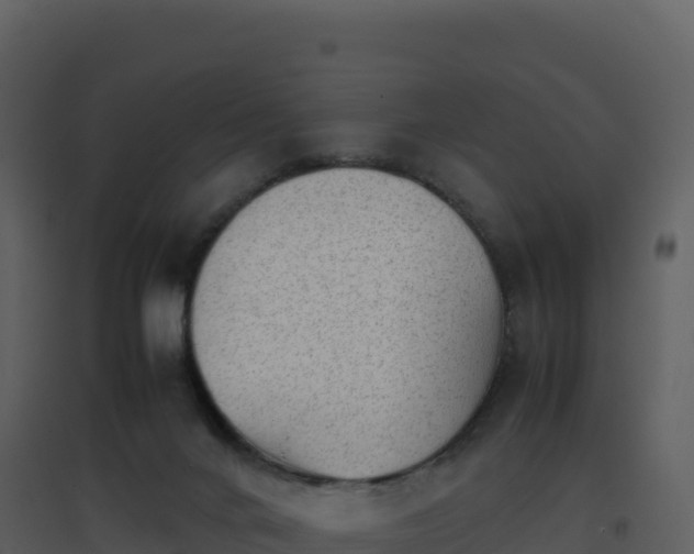 X0000096650024200802121143