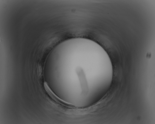 X0000096650025200802121143