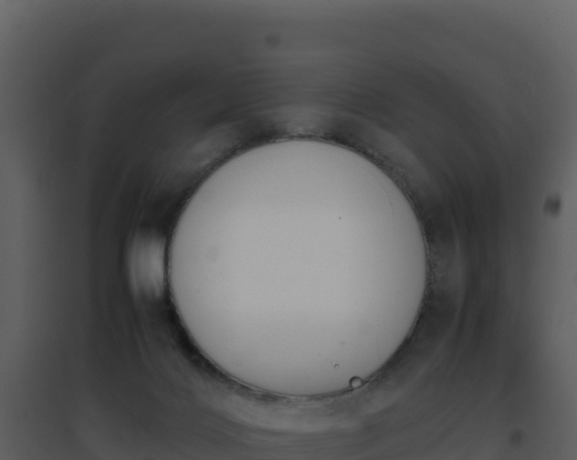 X0000096650028200802121143