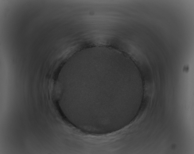 X0000096650029200802121142