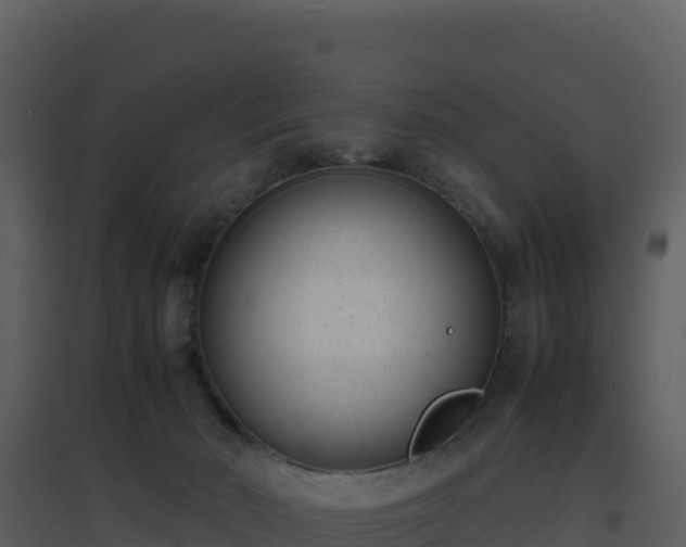 X0000096650030200802121142