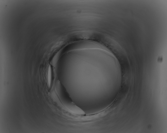 X0000096650031200802121142