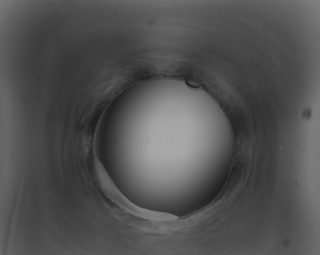 X0000096650033200802121142
