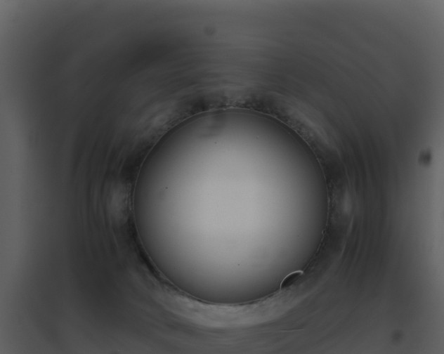 X0000096650034200802121142