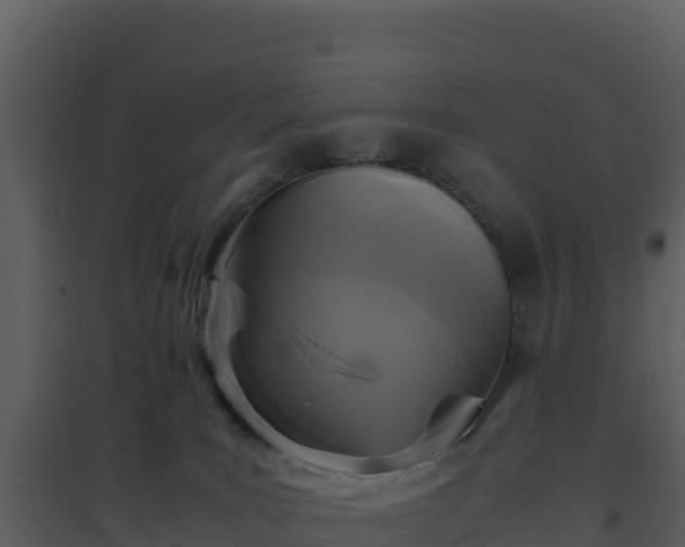 X0000096650035200802121142
