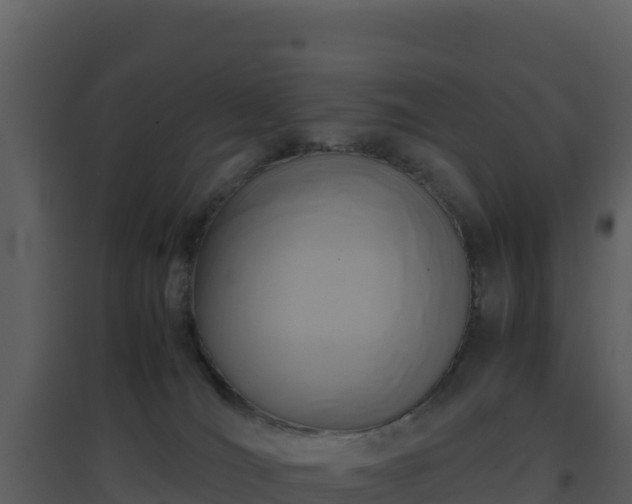 X0000096650036200802121142