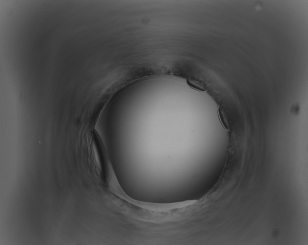 X0000096650037200802121142
