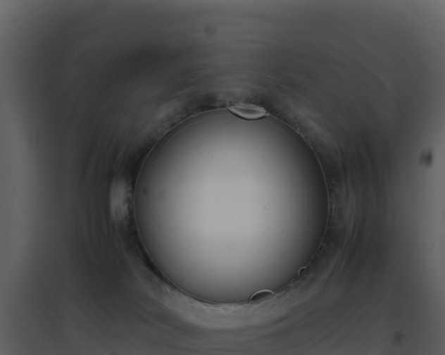 X0000096650038200802121142