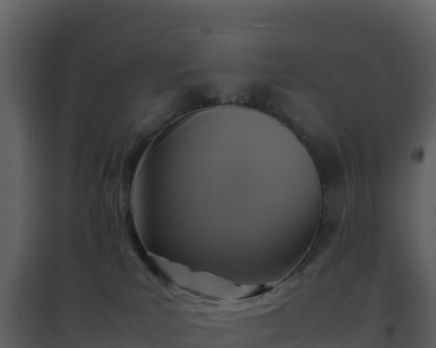 X0000096650039200802121142