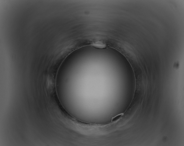 X0000096650040200802121142