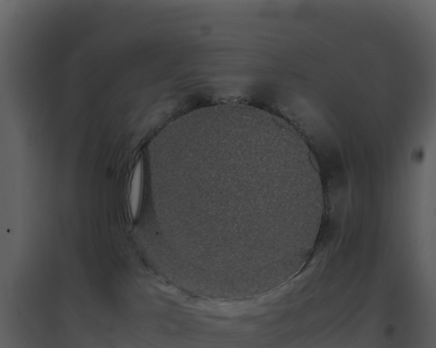X0000096650041200802121142