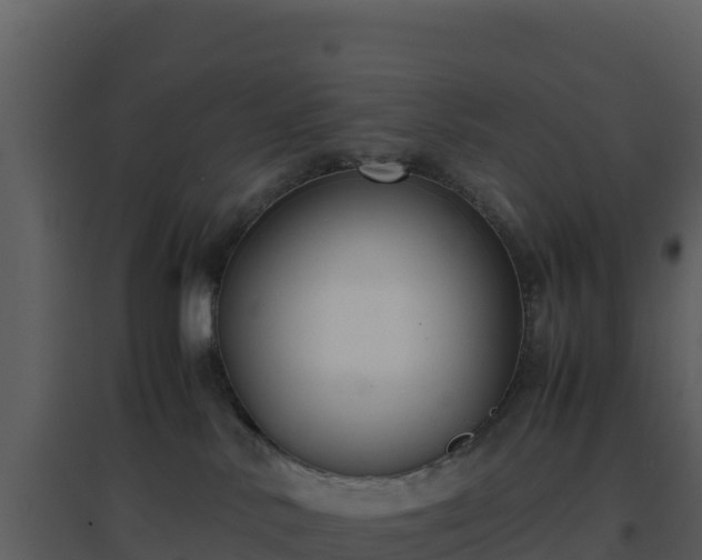 X0000096650042200802121142