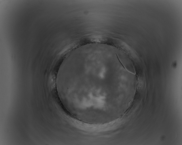 X0000096650043200802121142