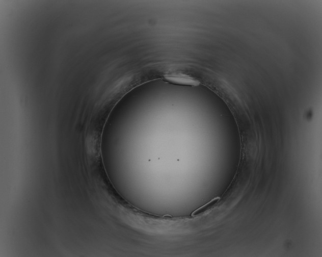 X0000096650044200802121142