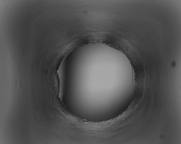 X0000096650045200802121142