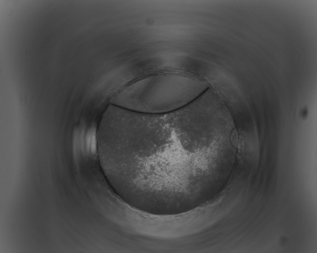X0000096650046200802121142